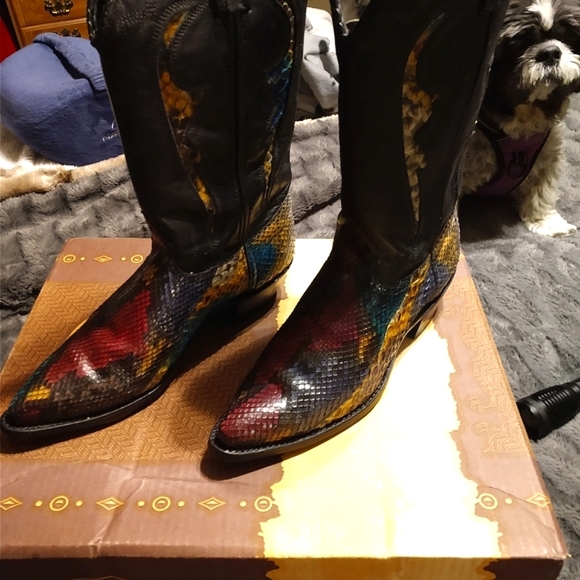 Like New Python Boots - Picture 1 of 8